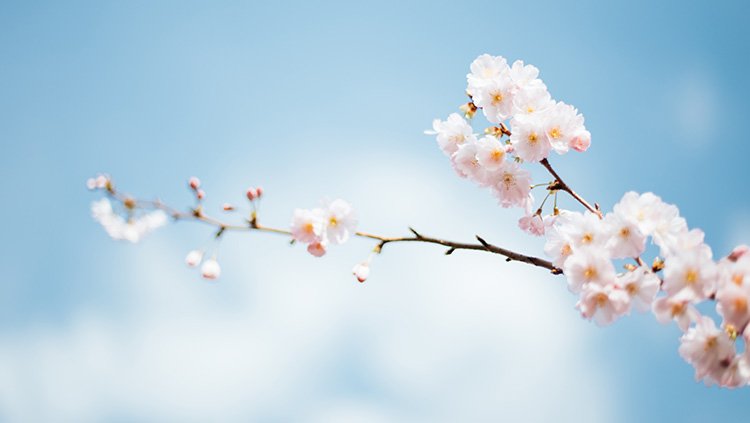 ������Ϸ(�й�)-�ٷ���վ